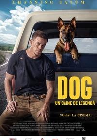 Poster Dog. Un câine de legendă