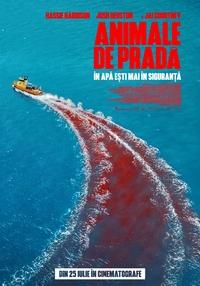 Poster Animale de pradă
