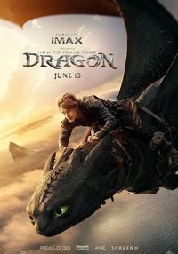 Poster Cum să îți dresezi dragonul (dub)