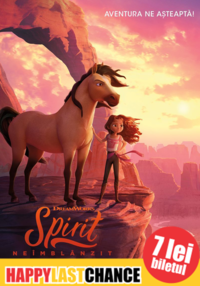 Poster Spirit neîmblânzit