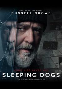 Poster Sleeping Dogs